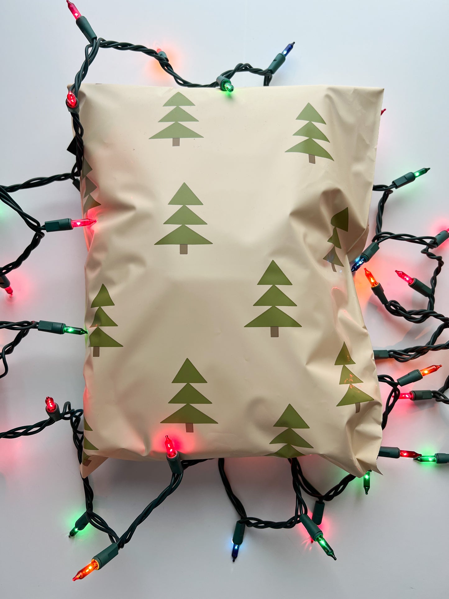 Christmas Poly Mailers